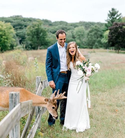 小鹿闯入婚纱照拍摄现场，抢夺新娘手中玫瑰，多么美妙的惊喜！