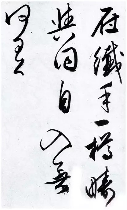 草书|文征明66岁的精妙草书!