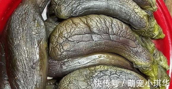 食材|这食材正当季，不晒也不腌，蒸一蒸存到冰箱，冬季炒肉炖汤真美味