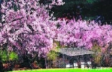 十五首描写小草的古诗词,为君闲暇助兴,茶余饭后解闷