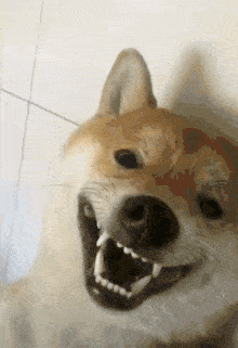 |搞笑GIF:这才是女汉子,其他的都弱爆了