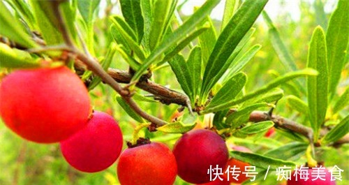 苦瓜|女性到了中年，常吃4种食物，排毒瘦身，美白肌肤，增强抵抗力