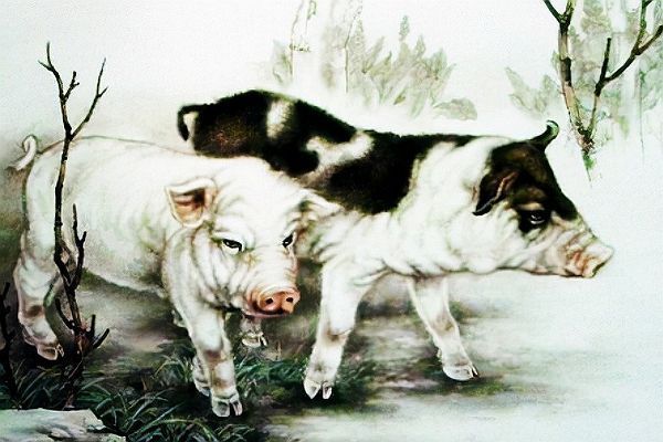 事业|10月14号起,财气进门,势如破竹,事业飞快发展,钱财挡不住