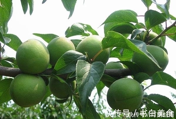 有机酸|女性睡觉前当零食吃几颗，淡化色斑，减少皱纹，皮肤更加细嫩光滑