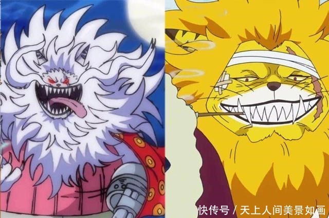 卡文迪许|海贼王哪些角色变身前后“判若两人”犬岚公爵哈士奇变藏獒