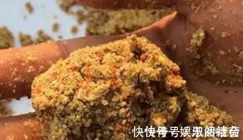 丁香酒|冬季钓鱼的诱鱼之道,用这几种方法,能把远处的鱼群“请”进窝