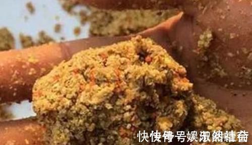 丁香酒|冬季钓鱼的诱鱼之道，用这几种方法，能把远处的鱼群“请”进窝