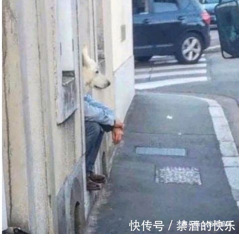 |搞笑瞬间那些猝不及防的图片,笑得肚子疼,都怪我没忍住啊