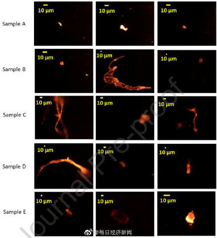 印度理工学院|用一次性纸杯喝热饮将喝下几万个塑料颗粒