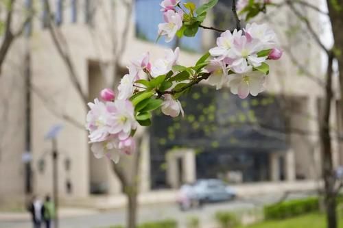 对外经济贸易大学怎么样？金字招牌！