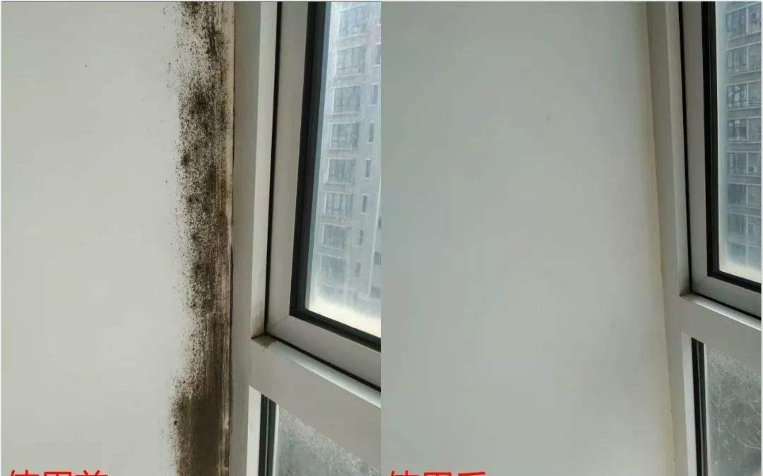 霉菌|日本这些奇怪的家居设计,安装简单又实用,你确定不装一个?