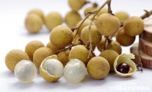 春天到,这“4种”果树种子不要扔,丢入盆里,呼呼长成小盆栽