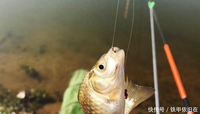 鱼漂|这一暴利行业没被电商击败，利润高达200%，消费者知情还甘愿买单