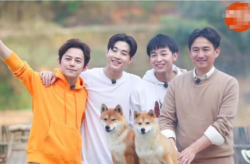 何炅|还没等来《向往5》,就等来黄磊何炅再次联手,打造的这档新综艺