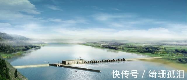 繁殖|渔民捕到“天价鱼”卖出347万高价，一夜暴富，是什么鱼呢