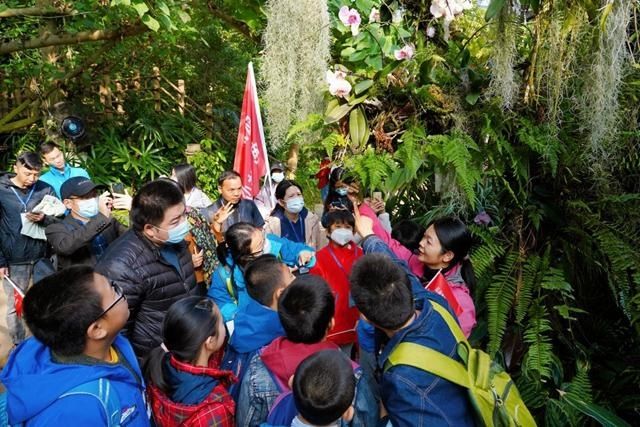 科普|到户外去学习！这场科普大赛走进植物王国