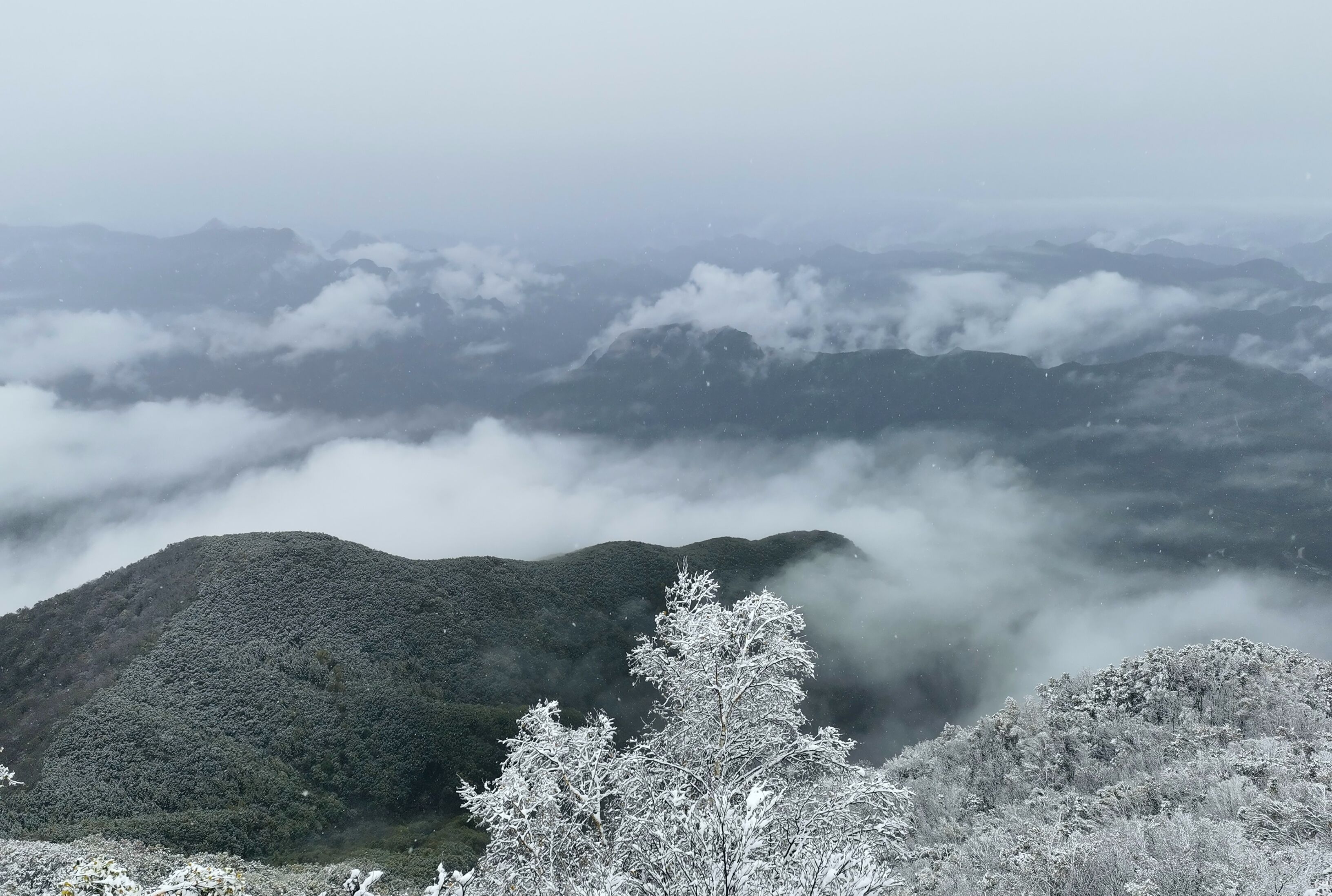 百花山|雪景与云海“同框”！今天的百花山美如仙境