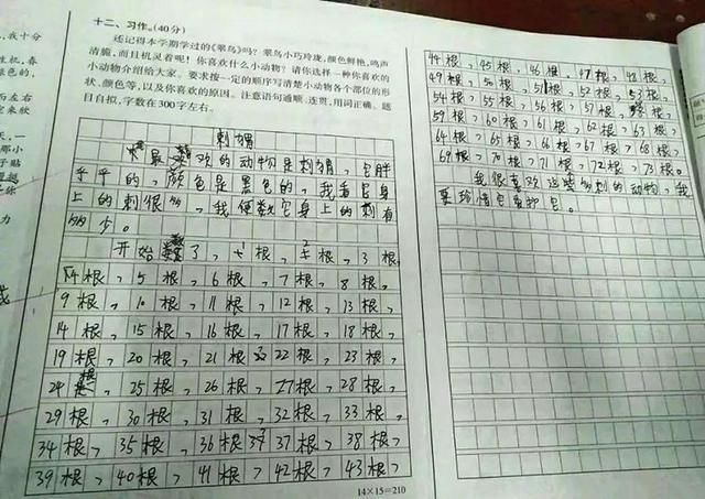 “大胆”小学生的一句话作文走红，做了很多人敢想却不敢做的事情