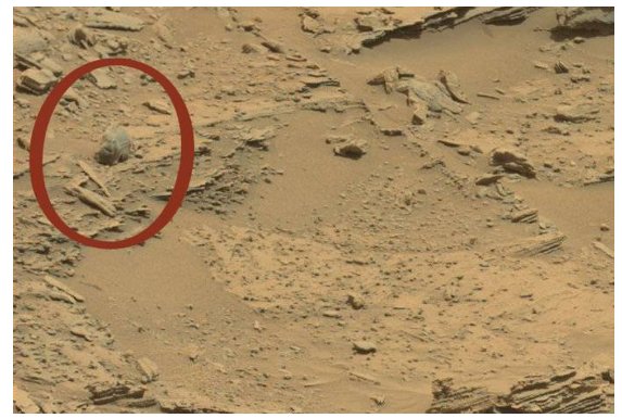 真相 火星上有蘑菇生长？“真像”中的“真相”