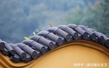 陈与义的一首七律,不仅技法高超,而且奇趣横生!