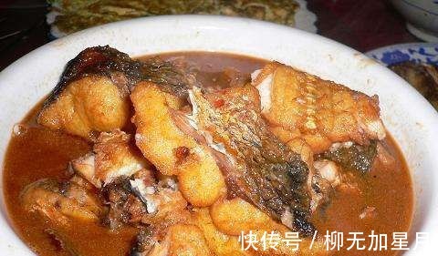 鱿鱼|几道菜非常可口美味，在家做饭的你不能错过，简单美味还不贵！