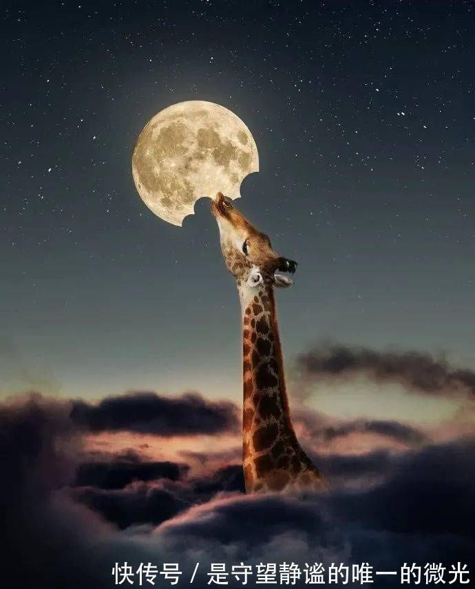 宇宙!视觉我的宇宙为你藏了无数个浪漫星球。