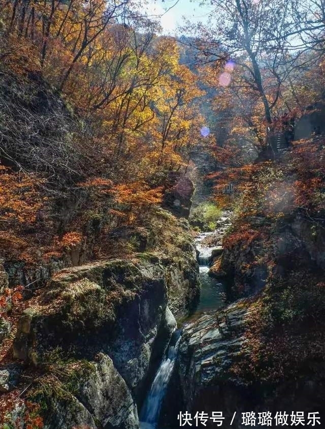 龙苍沟|「龙苍沟」赏彩林 探秘境