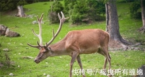 涨价@灾民没钱买米下锅,范仲淹得知后下令:继续涨价,事后才知太高明