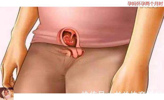 待产包|母亲十月怀胎到底多辛苦？十张图带你看孕育全过程，生命来之不易