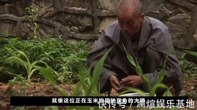 茅屋|终南山隐士修为到底有多高？美国人跑到终南山，拍下隐士真实生活