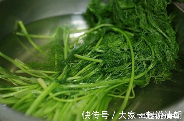 葱白|这个馅儿的包子吃不够！咬一口菜香肉美，全家老小都馋它！