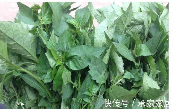 新鲜的没人吃，腌咸菜却是一绝，用它炒饭很开胃，还是酒席压轴菜