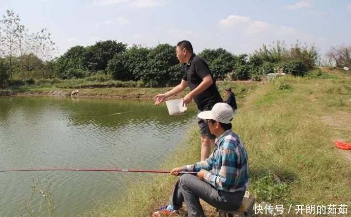用大蒜和药酒就可以做出来的爆护饵料,到哪里钓鱼都不会空军