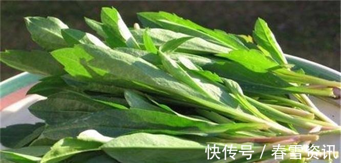 人到中年|人到中年想长寿,不妨多吃三种食物,润肠助消化,提高身体免疫力