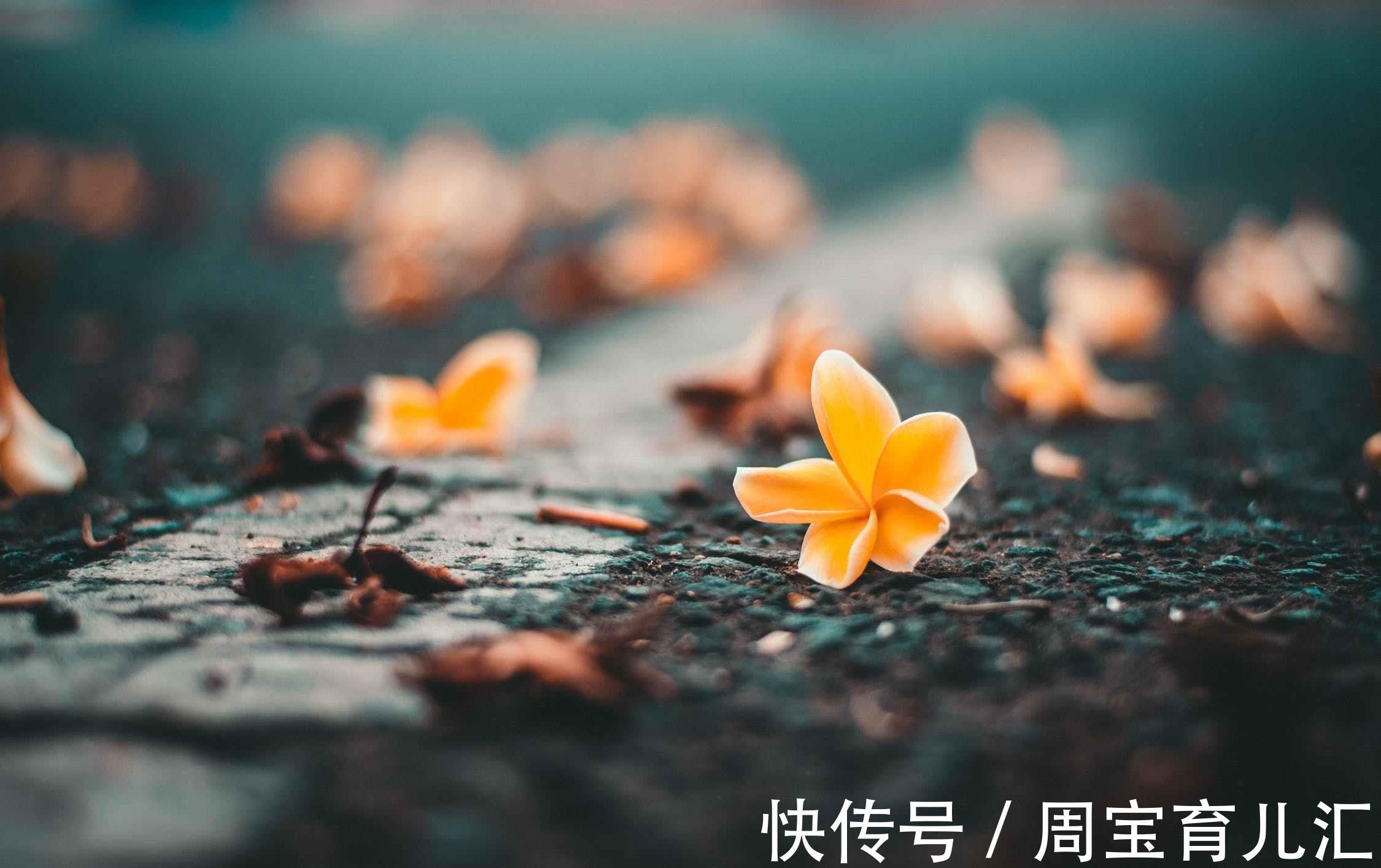 张女士|不快乐的童年,令多少孩子失去自我,家长还不足以醒悟吗?