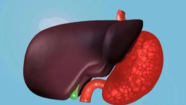 心血管疾病|寿命短的人，通常有“2粗3硬”，一个没有，说明身体比较强健