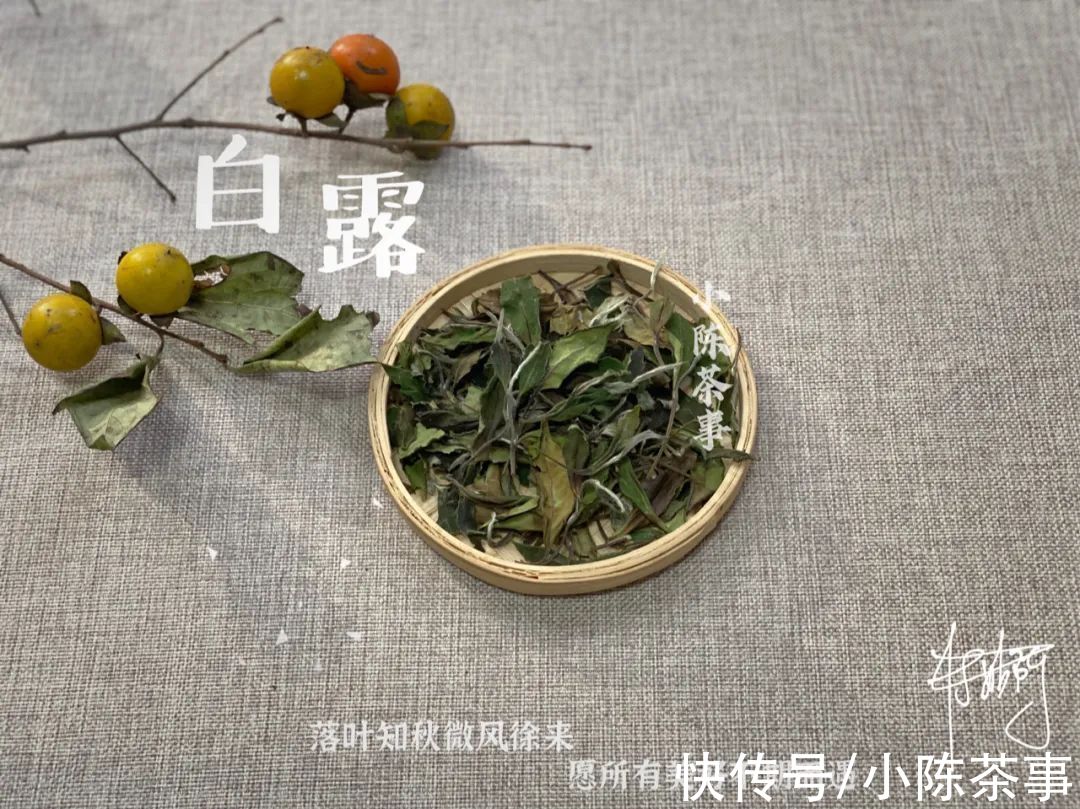 花香&漫长炎热天气的产物，茶汤带着花蜜般的鲜甜，2021白露茶我见犹怜