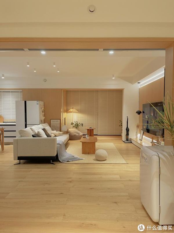 收纳|长沙发现一户人家，客厅那叫一个高级！拍照给大家瞧瞧，太羡慕了