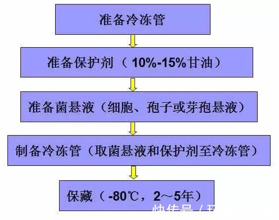 天然科技资源渠道微生物菌种资源项目经过检验