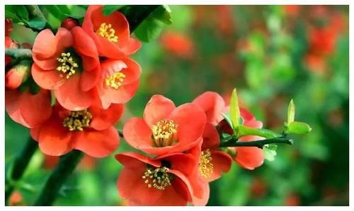 要求|你的内心恐惧越多，你对孩子的要求也便越多