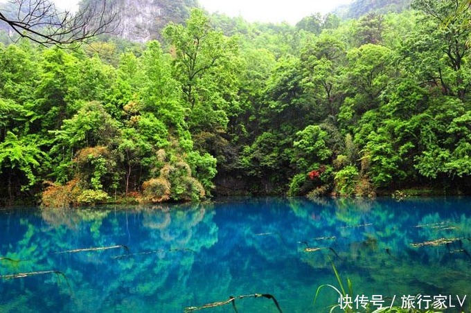 被黄果树瀑布吸引，却被种草这些绝美春天景色!|金桔逸游：踏青旅行 |被黄果树瀑布吸引，却被种草这些绝美春天景色!\＂,\＂i12\＂:\＂金桔逸游：踏青旅行