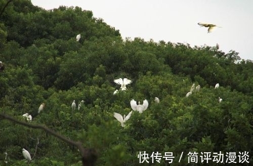 鱼的寿命到底有多长?为什么说有水的地方就有鱼?
