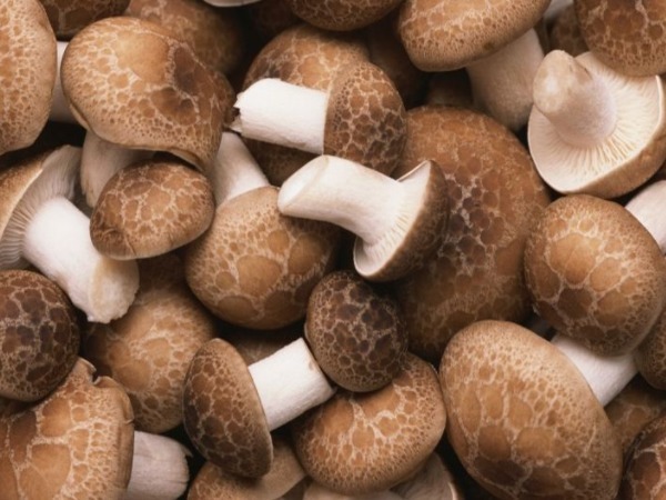 四大山珍|湿气最“怕”4种蔬菜，祛湿补肾，减肥健胃，最后一种效果最佳！