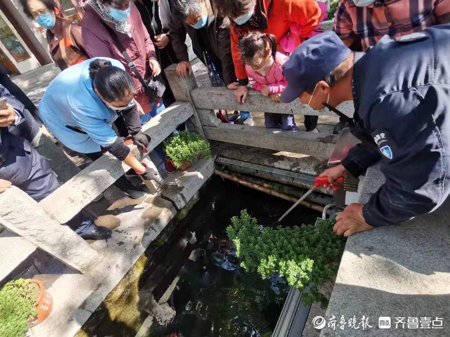 游客|趵突泉公园游客手机掉水里，保安帮忙捞起