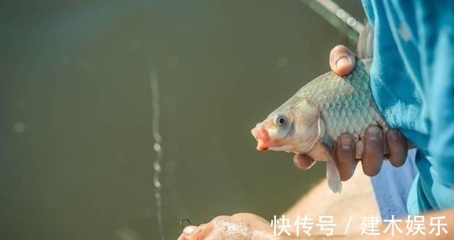 渔获|钓鱼的核心要素,全部领悟并掌握,你离“钓神”不远了