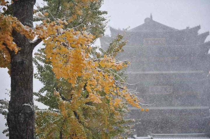 暴雪|当立冬与暴雪相逢，当秋天与冬天相遇