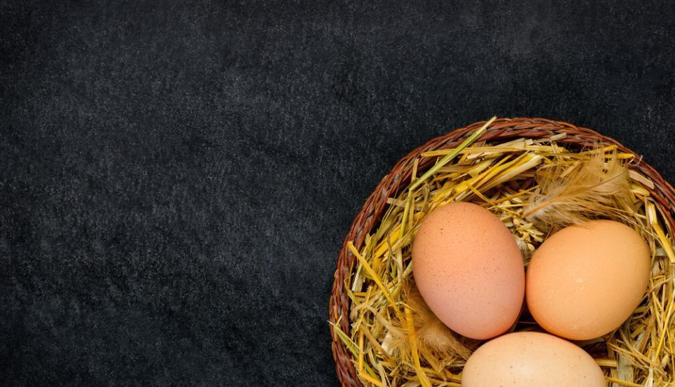 营养物质|鸡蛋是营养佳品,还是心血管疾病的祸根?如何正确吃鸡蛋?