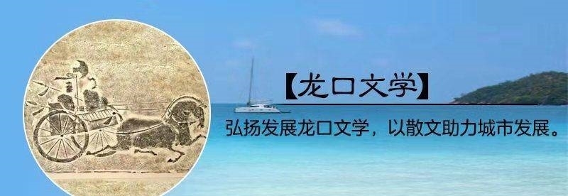 青未了|今年又到下雪时