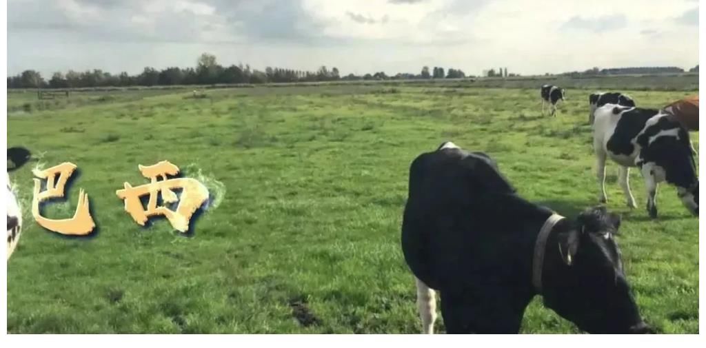 三农|主持人小超（孙希超）：身在田间地头的主持人