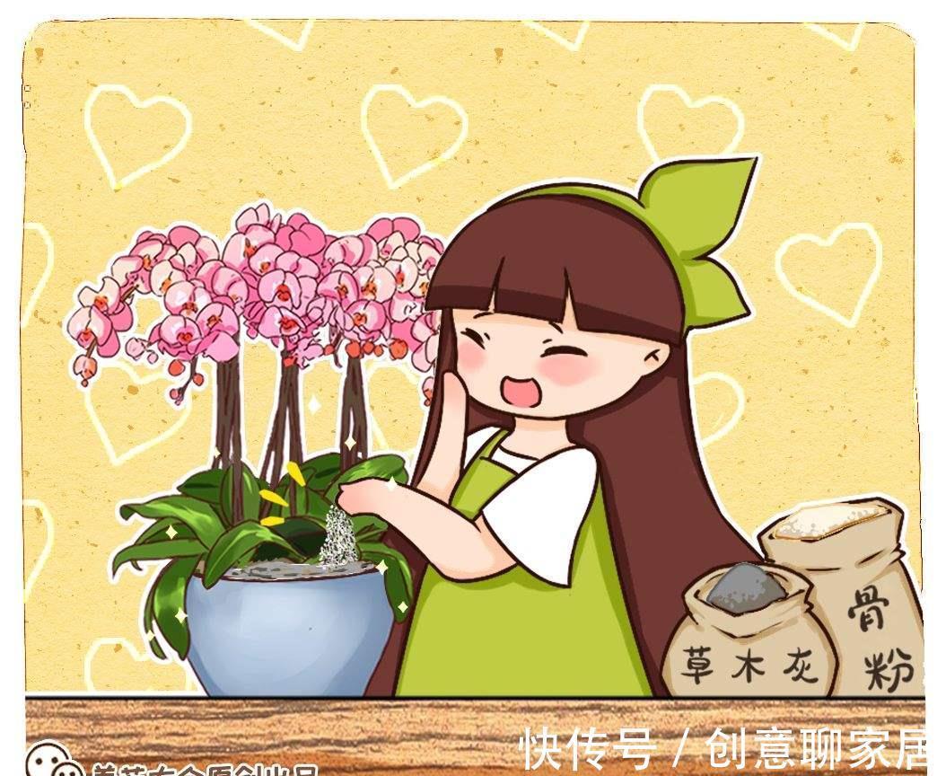 养花|自制养花杀菌水，一天喷一次效果好，安全无污染